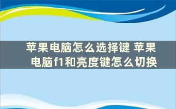 苹果电脑怎么选择键 苹果电脑f1和亮度键怎么切换